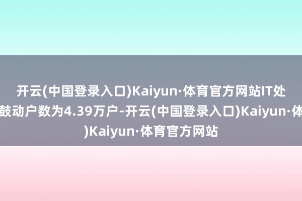 开云(中国登录入口)Kaiyun·体育官方网站IT处事行业平均鼓动户数为4.39万户-开云(中国登录入口)Kaiyun·体育官方网站