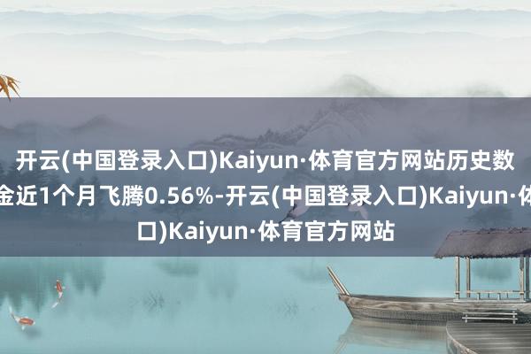 开云(中国登录入口)Kaiyun·体育官方网站历史数据露馅该基金近1个月飞腾0.56%-开云(中国登录入口)Kaiyun·体育官方网站