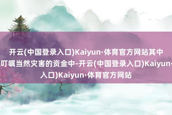 开云(中国登录入口)Kaiyun·体育官方网站其中在17亿雷亚尔叮嘱当然灾害的资金中-开云(中国登录入口)Kaiyun·体育官方网站