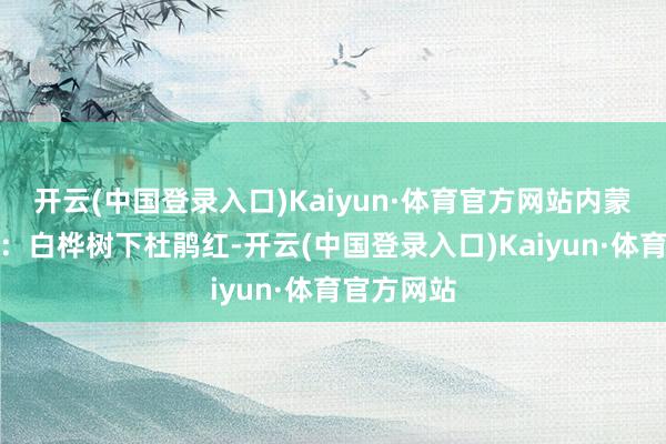 开云(中国登录入口)Kaiyun·体育官方网站内蒙古牙克石：白桦树下杜鹃红-开云(中国登录入口)Kaiyun·体育官方网站