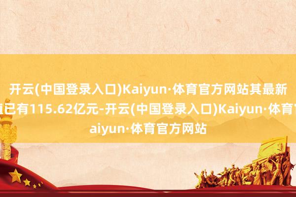 开云(中国登录入口)Kaiyun·体育官方网站其最新金钱净值已有115.62亿元-开云(中国登录入口)Kaiyun·体育官方网站