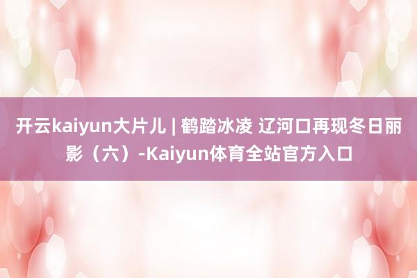 开云kaiyun大片儿 | 鹤踏冰凌 辽河口再现冬日丽影（六）-Kaiyun体育全站官方入口