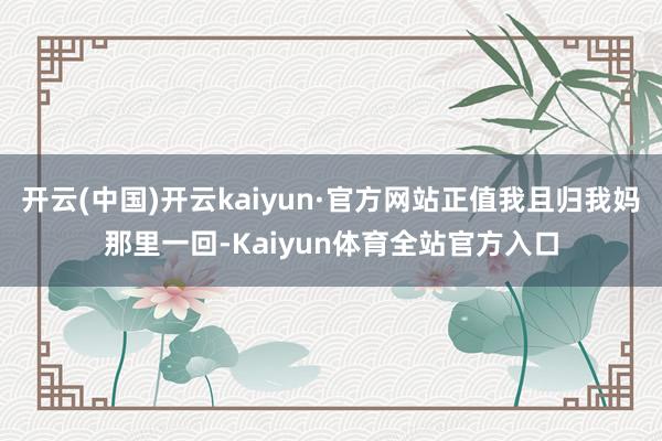 开云(中国)开云kaiyun·官方网站正值我且归我妈那里一回-Kaiyun体育全站官方入口